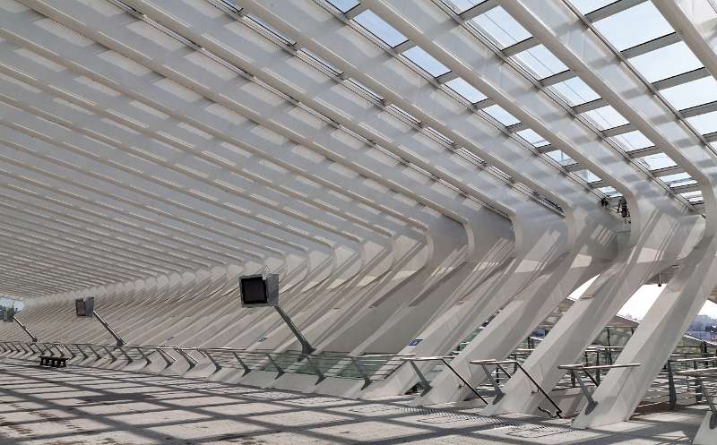 FH_110324_16085.jpg - Luik - Station Guillemins - Architect Santiago Calatrava