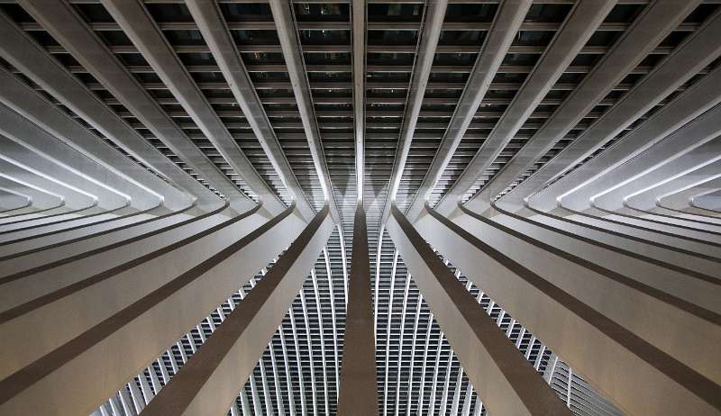 FH_110324_16315.jpg - Luik - Station Guillemins - Architect Santiago Calatrava