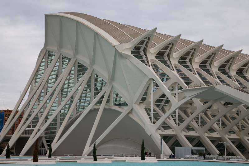 FH_100106_11184.jpg - Museu de les Ciénces Principe Filipe - Valencia - Spain