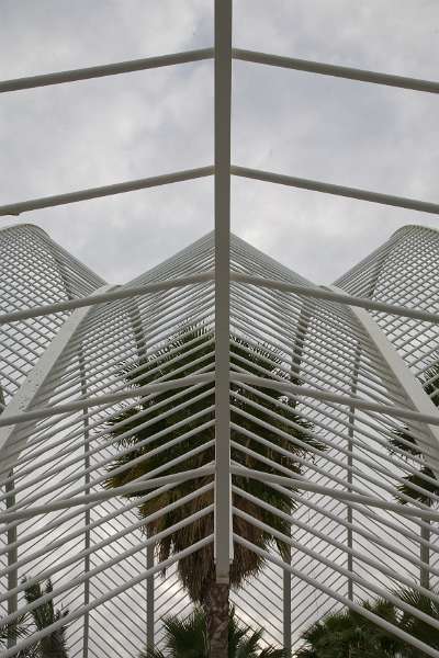 FH_100106_11211.jpg - L' Umbracle - Valencia - Spain