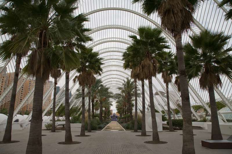 FH_100106_11216.jpg - L' Umbracle - Valencia - Spain