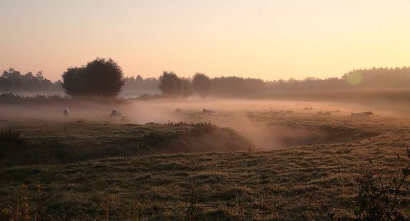 FH_080927_6507.JPG - Valei van de Heulebeek om 07:35 u - 27 september 2008