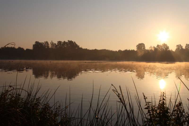 FH_080927_6513.JPG - Provinciaal Domein Bergelen - Gullegem - 07:45 u - 27 september 2008