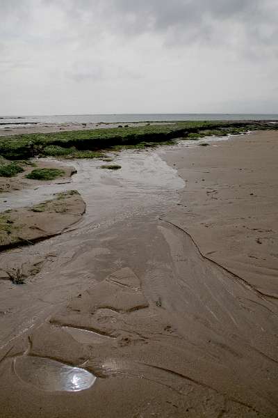 Frehae_LS_053_5482(Cap-Gris-Nez).jpg - Cap Gris Nez