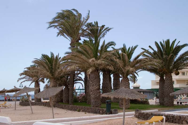 FH-TR-LZ_0080(3535).jpg - Playa Blanca Promenade