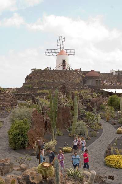 FH-TR-LZ_0223(3672).jpg - Jardin de cactus