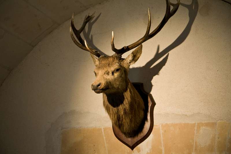 FH_080503_E55099.jpg - Chateau de Chenonceau