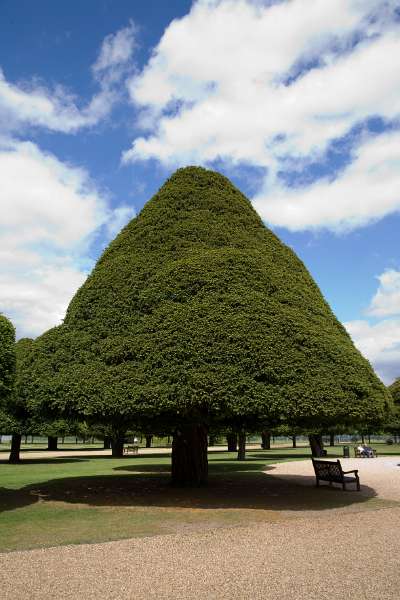 FH_090522_8006.jpg - Hampton Court - Britain