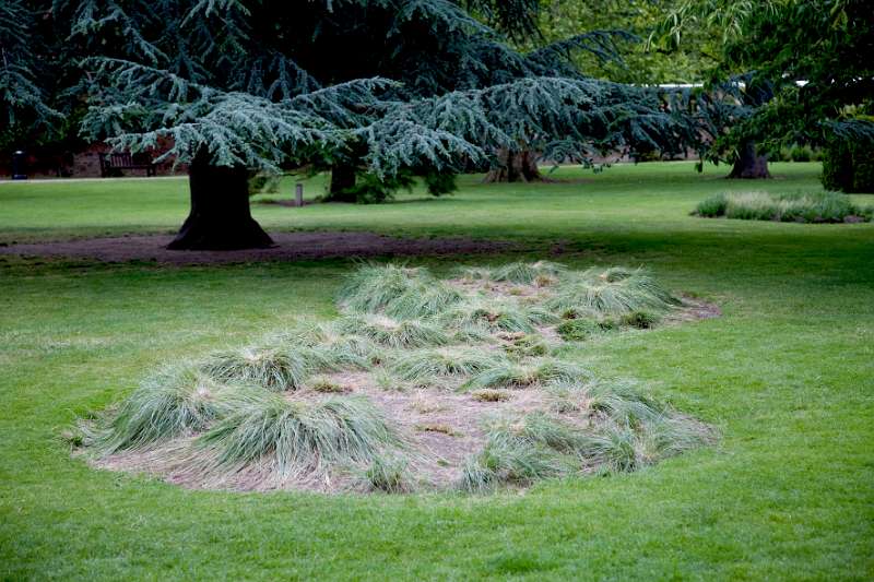 FH_090522_8093.jpg - Hampton Court Palace - Britain - The Tiltyard