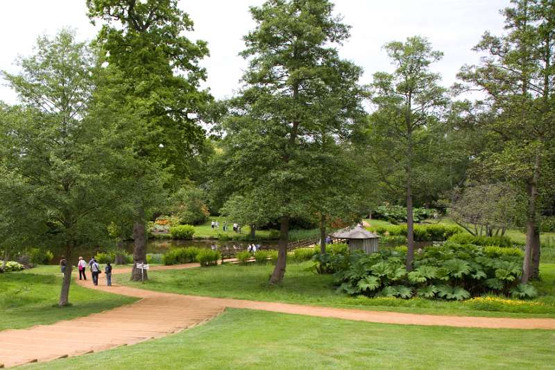 FH_090523_8149.jpg - Englefield Green - Surrey - The Savill Garden - The way to the Casson Bridge