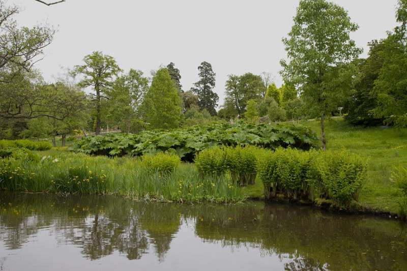 FH_090523_8158.jpg - Englefield Green - Surrey - The Savill Garden