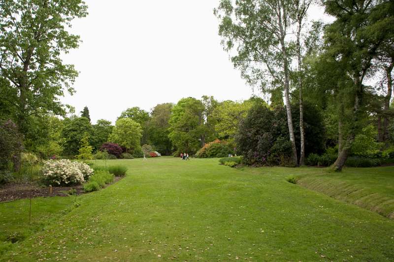 FH_090523_8170.jpg - Englefield Green - Surrey - The Savill Garden