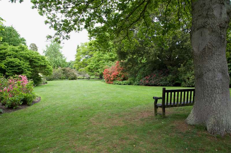 FH_090523_8171.jpg - Englefield Green - Surrey - The Savill Garden