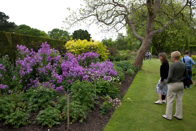 FH_090523_8228.jpg - Englefield Green - Surrey - The Savill Garden - The Summer Gardens