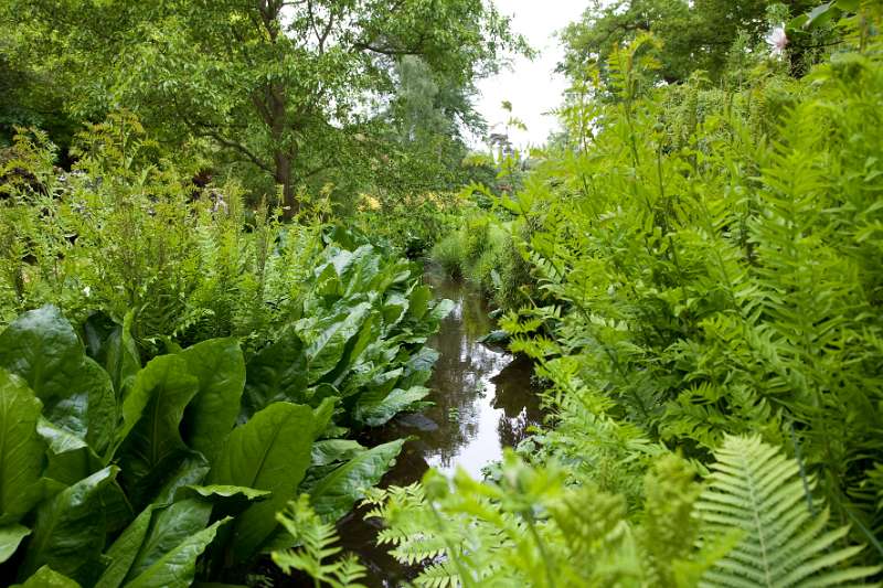 FH_090523_8254.jpg - Englefield Green - Surrey - The Savill Garden