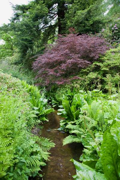 FH_090523_8256.jpg - Englefield Green - Surrey - The Savill Garden