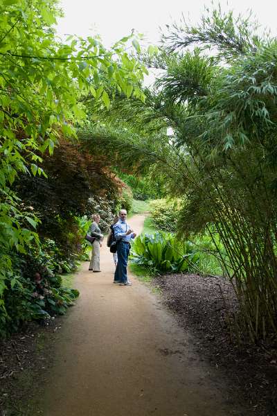 FH_090523_8258.jpg - Englefield Green - Surrey - The Savill Garden