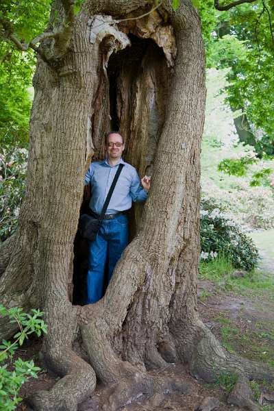 FH_090523_8260.jpg - Englefield Green - Surrey - The Savill Garden - "Man in the tree"