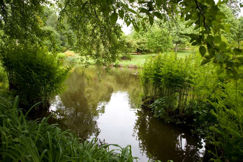 FH_090523_8275.jpg - Englefield Green - Surrey - The Savill Garden