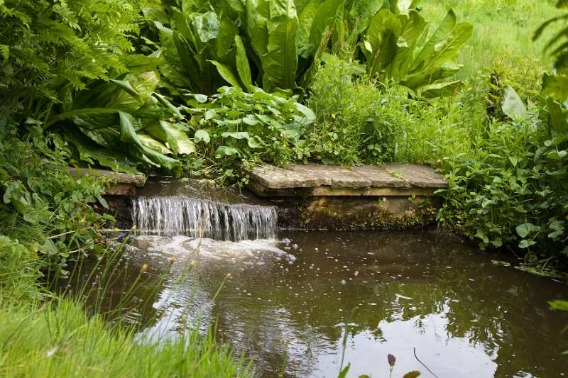 FH_090523_8286.jpg - Englefield Green - Surrey - The Savill Garden