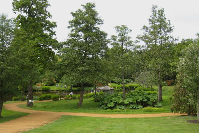 FH_090523_IX0526.jpg - The Savill Garden