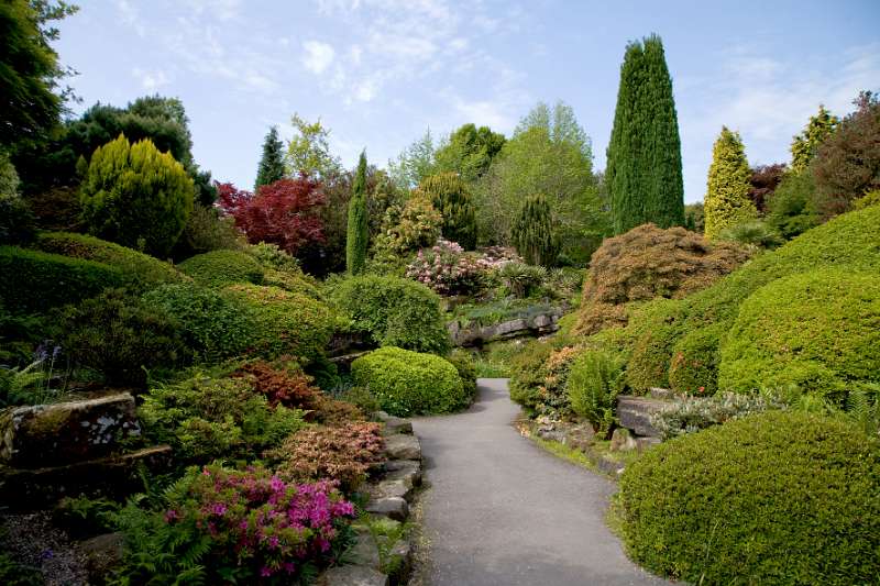 FH_090524_8301.jpg - Leonardslee Lakes & Gardens - The Rock Garden