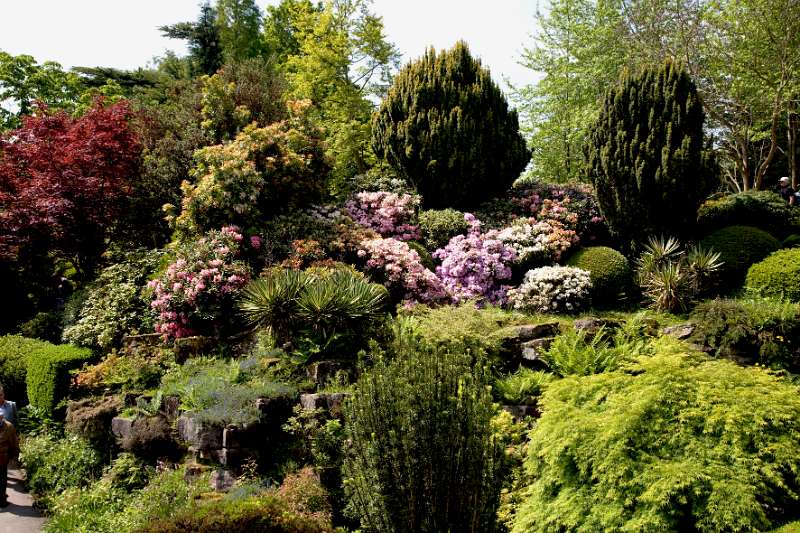 FH_090524_8308.jpg - Leonardslee Lakes & Gardens - The Rock Garden