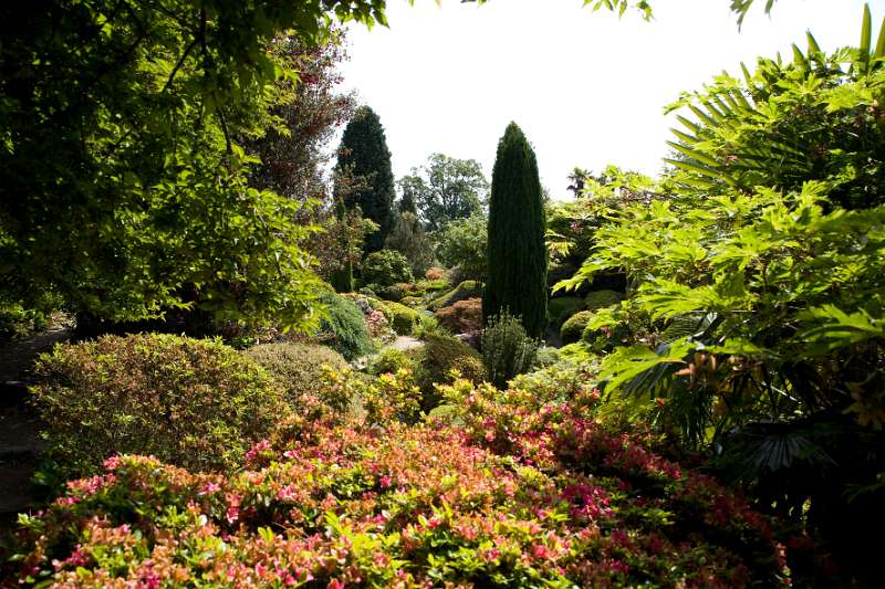 FH_090524_8310.jpg - Leonardslee Lakes & Gardens - The Rock Garden