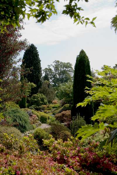 FH_090524_8311.jpg - Leonardslee Lakes & Gardens - The Rock Garden