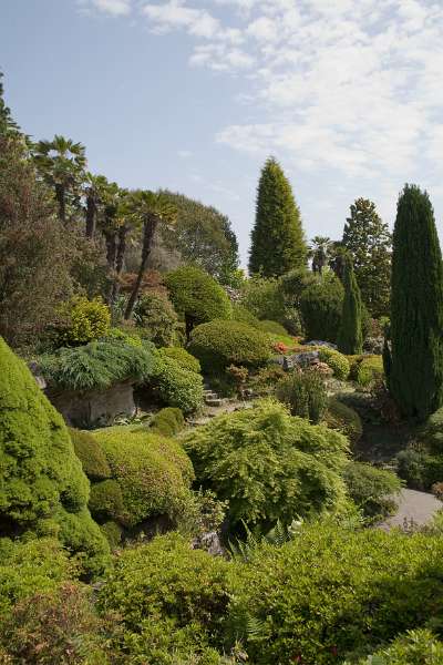 FH_090524_8313.jpg - Leonardslee Lakes & Gardens - The Rock Garden