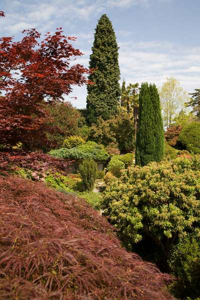 FH_090524_8315.jpg - Leonardslee Lakes & Gardens - The Rock Garden