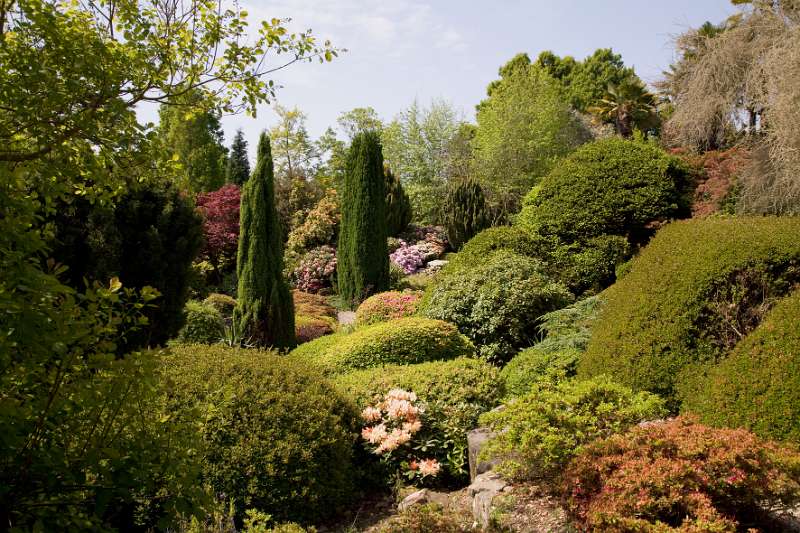 FH_090524_8317.jpg - Leonardslee Lakes & Gardens - The Rock Garden