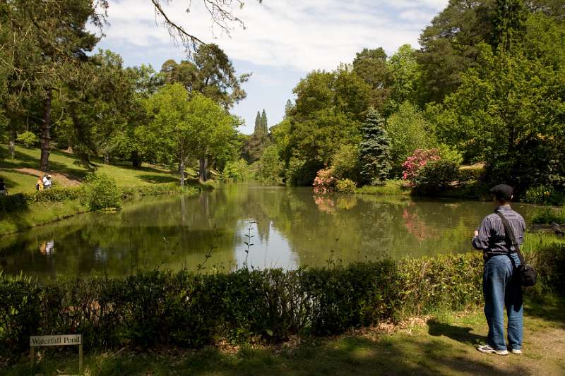 FH_090524_8340.jpg - Leonardslee Lakes & Gardens - The Waterfall Pond