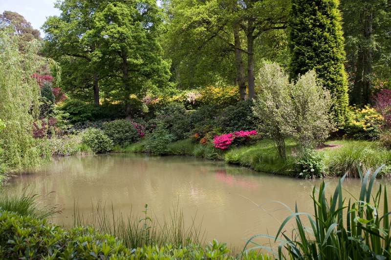 FH_090524_8349.jpg - Leonardslee Lakes & Gardens - The Waterfall Pond