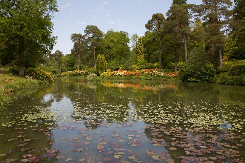 FH_090524_8352.jpg - Leonardslee Lakes & Gardens - The Mossy Ghill Pond