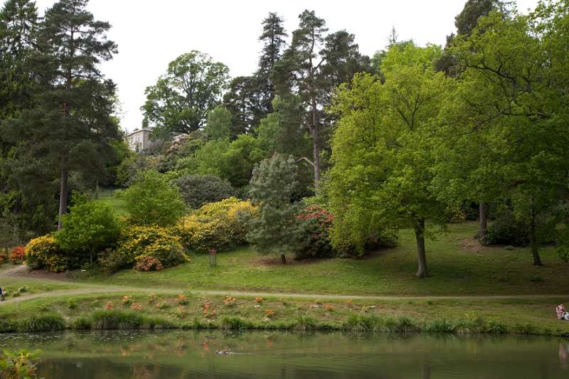 FH_090524_8355.jpg - Leonardslee Lakes & Gardens - The Mossy Ghill Pond