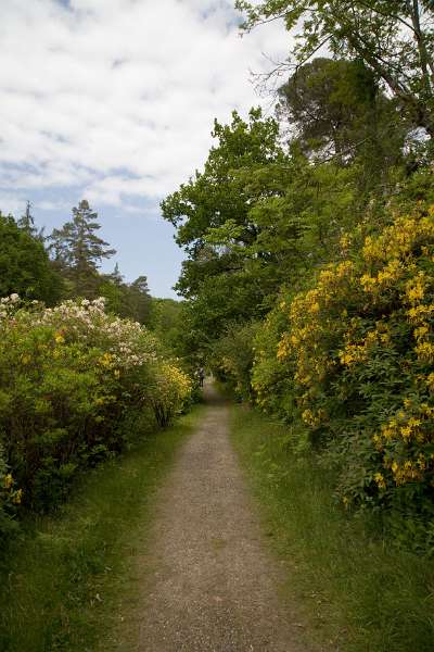 FH_090524_8357.jpg - Leonardslee Lakes & Gardens