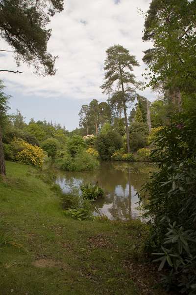 FH_090524_8363.jpg - Leonardslee Lakes & Gardens - The Mossy Ghill Pond