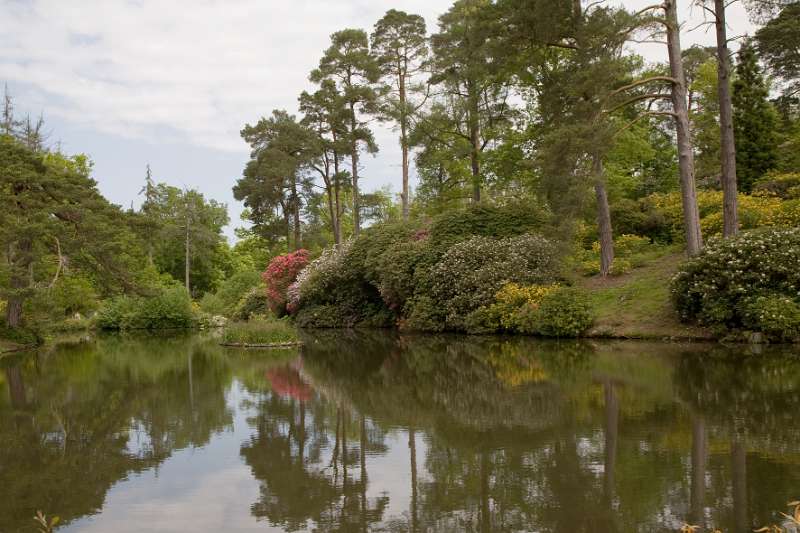 FH_090524_8370.jpg - Leonardslee Lakes & Gardens - The Mossy Ghill Pond