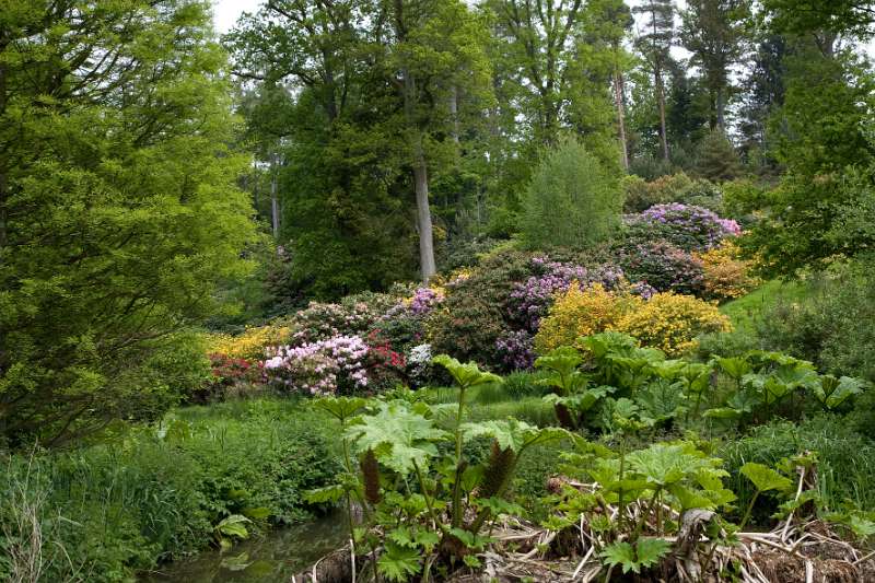 FH_090524_8379.jpg - Leonardslee Lakes & Gardens