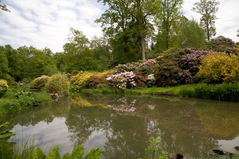 FH_090524_8381.jpg - Leonardslee Lakes & Gardens - The Mossy Ghill Pond