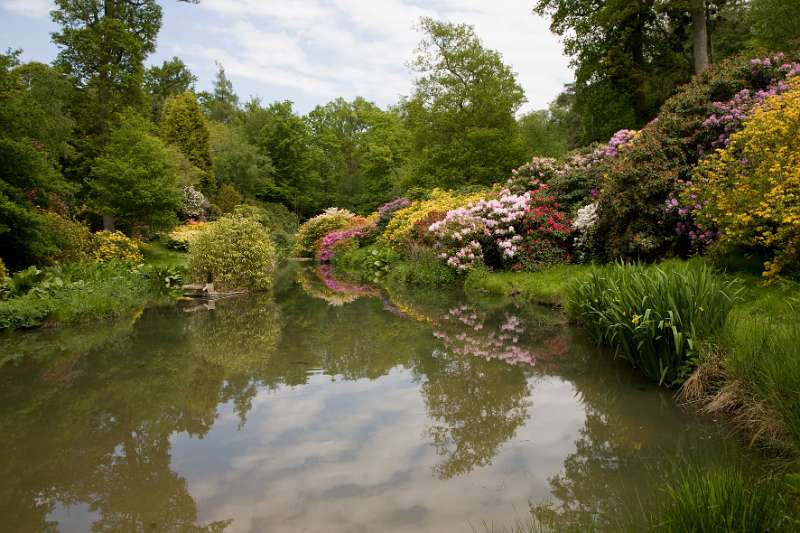 FH_090524_8382.jpg - Leonardslee Lakes & Gardens