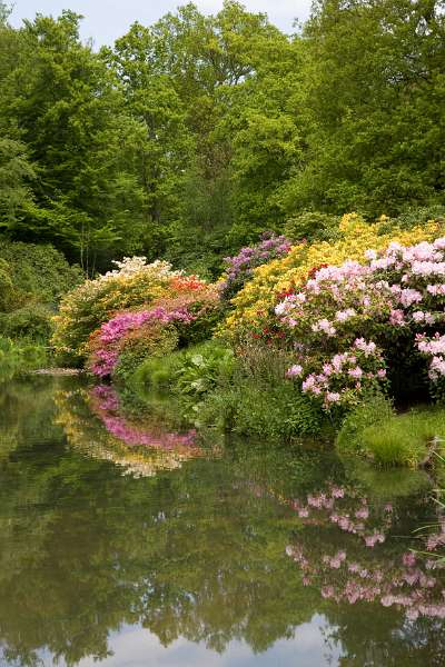 FH_090524_8384.jpg - Leonardslee Lakes & Gardens - The Mossy Ghill Pond