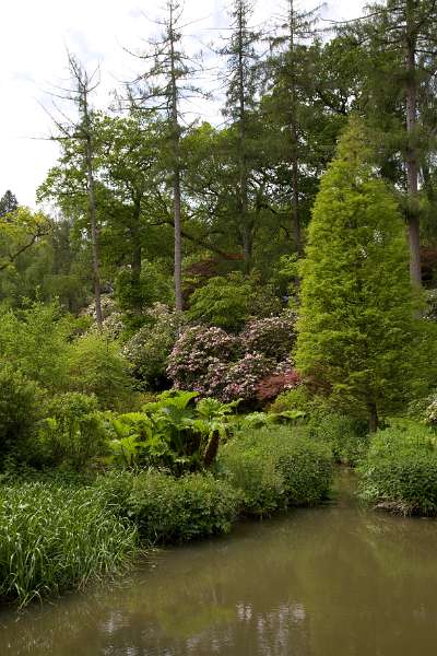 FH_090524_8385.jpg - Leonardslee Lakes & Gardens - The Mossy Ghill Pond