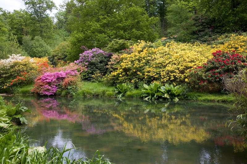 FH_090524_8387.jpg - Leonardslee Lakes & Gardens - The Mossy Ghill Pond