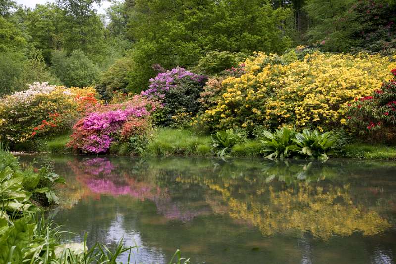 FH_090524_8388.jpg - Leonardslee Lakes & Gardens - The Mossy Ghill Pond