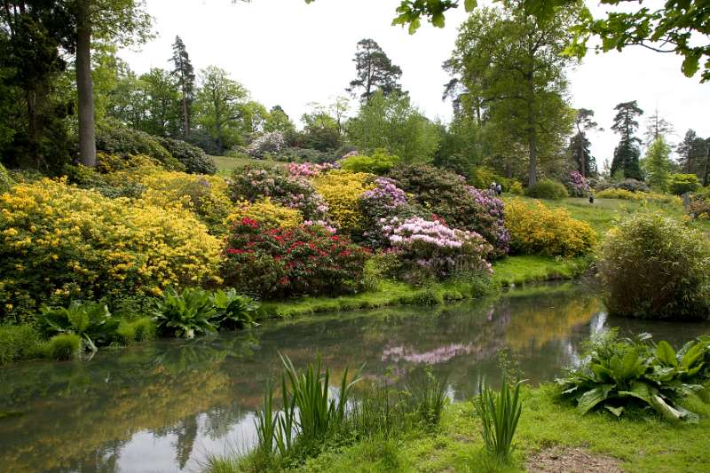 FH_090524_8390.jpg - Leonardslee Lakes & Gardens