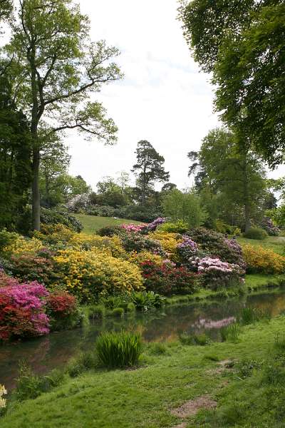 FH_090524_8391.jpg - Leonardslee Lakes & Gardens