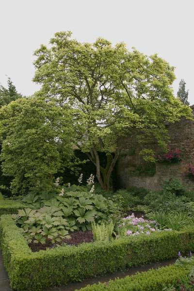 FH_090525_8439.jpg - Sissinghurst Castle Garden - Lower Courtyard