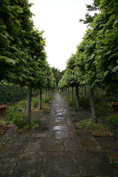 FH_090525_8495.jpg - Sissinghurst Castle Garden - The Lime walk